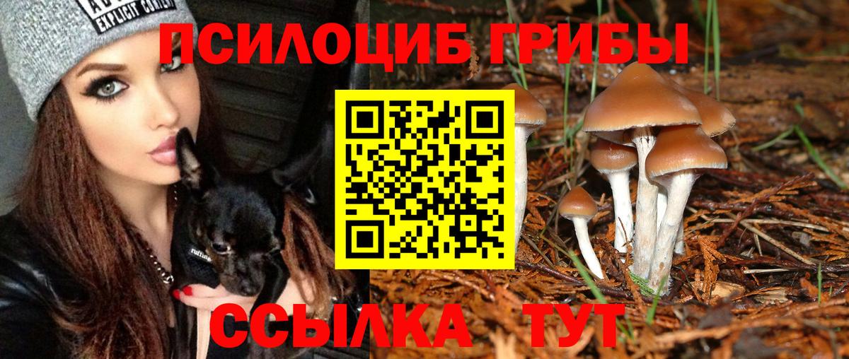 Галлюциногенные грибы MAGIC MUSHROOMS  Галлюциногенные грибы GOLDEN TEACHER  наркошоп  Вход с VPN  Мичуринск 